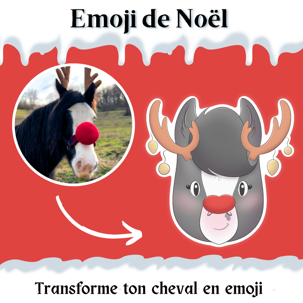 Pack d'Emoji de Noël